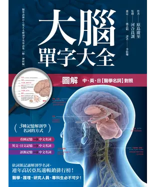 書封 圖解大腦單字大全