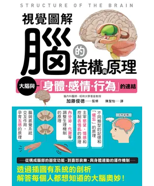 書封 視覺圖解 腦的結構與原理